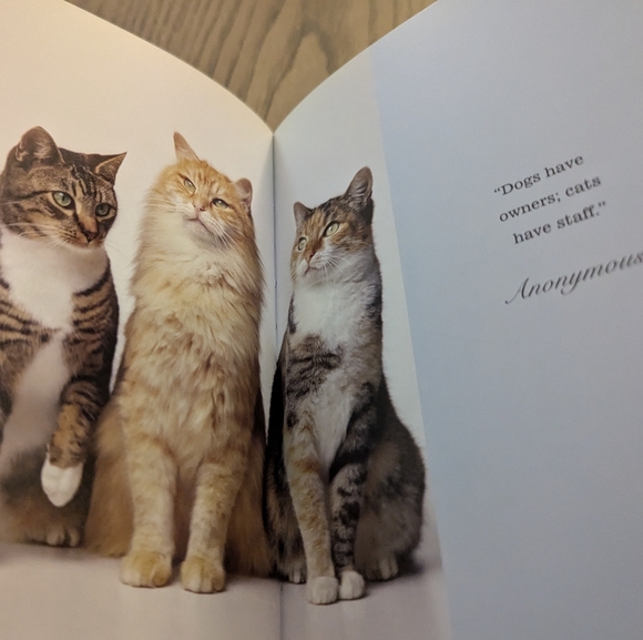 Cat Book - Picture 2 of 2